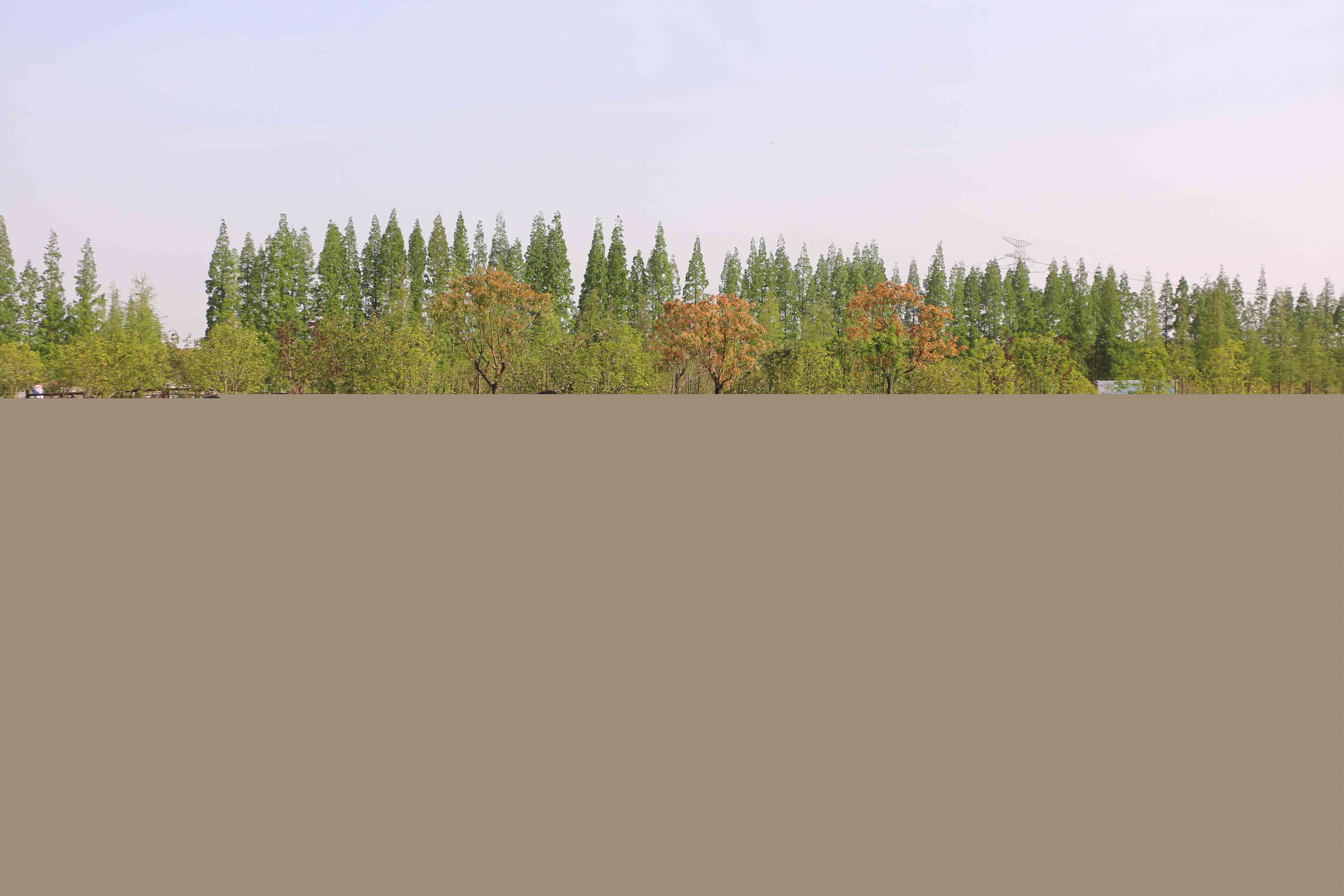 蒋巷一日拓展训练(图382)